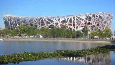 دانلود نمونه تطبیقی مجموعه ورزشی آشیانه پرنده چین